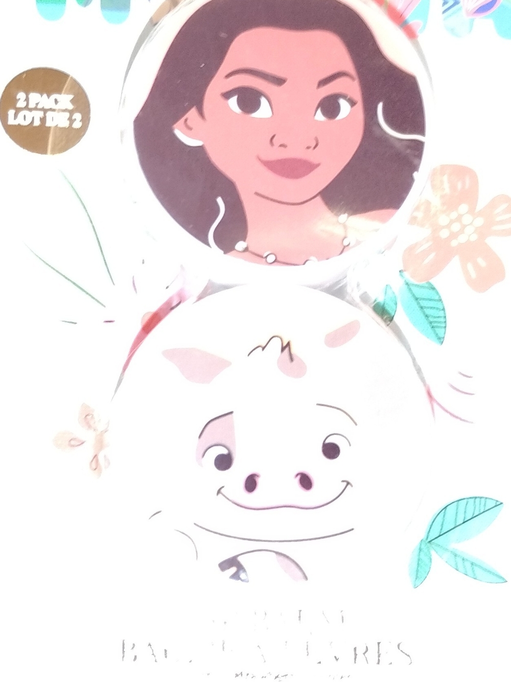 Disney Pink and Teal Moana and Pua Lip Balm Set